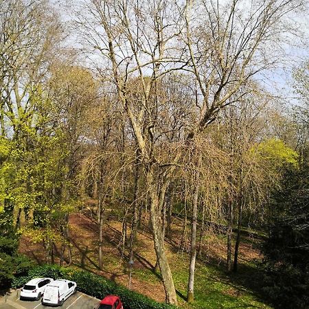 Chambre D'Hote Au Parc Des Thibaudieres Boussy-Saint-Antoine Exteriér fotografie